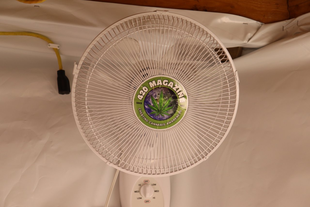 Fan w/420 Sticker