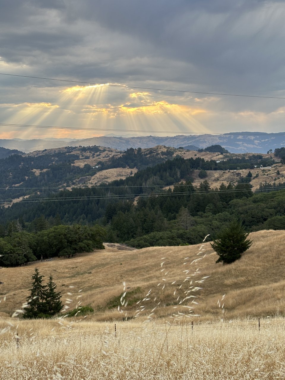 Farm view