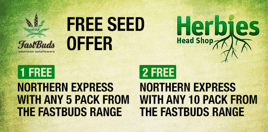 Fast Buds Offer at Herbies