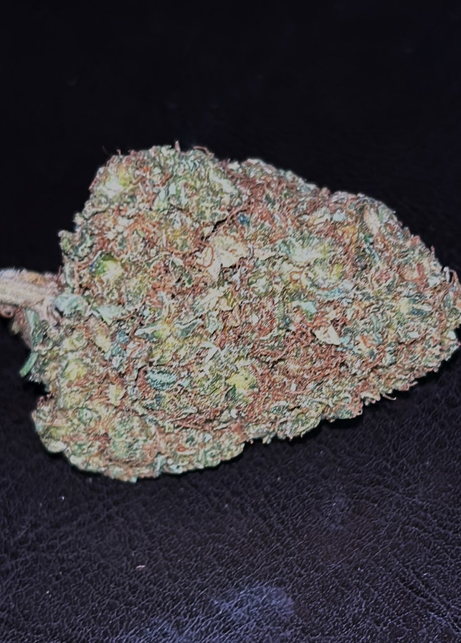 Fat Bastard 9-14-24 nug.JPG