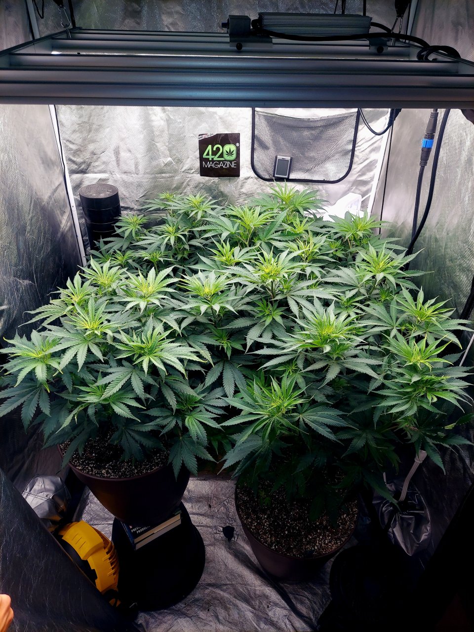 FC4800 Summer Grow 2023-Grow Journal