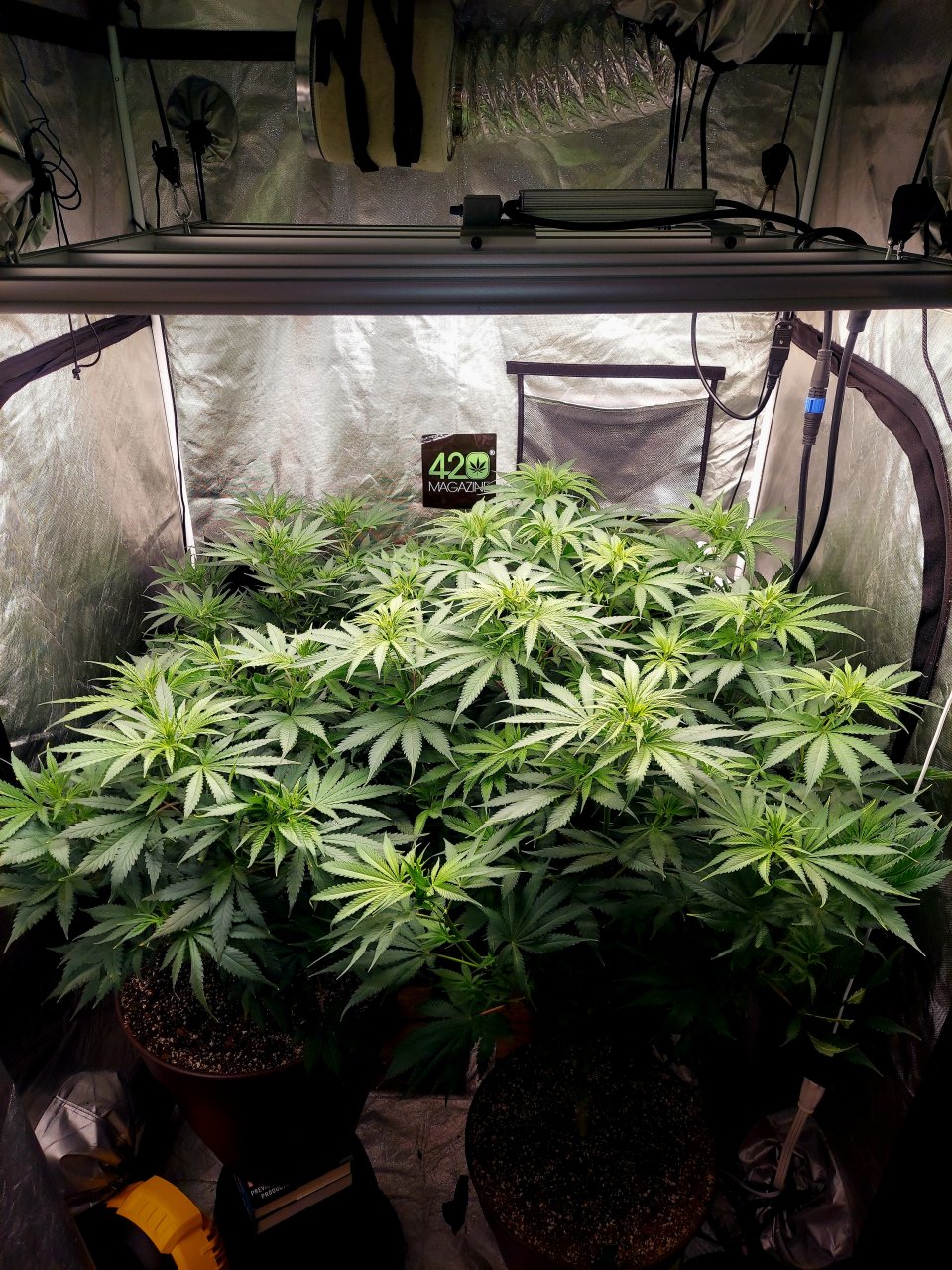 FC4800 Summer Grow 2023-Grow Journal