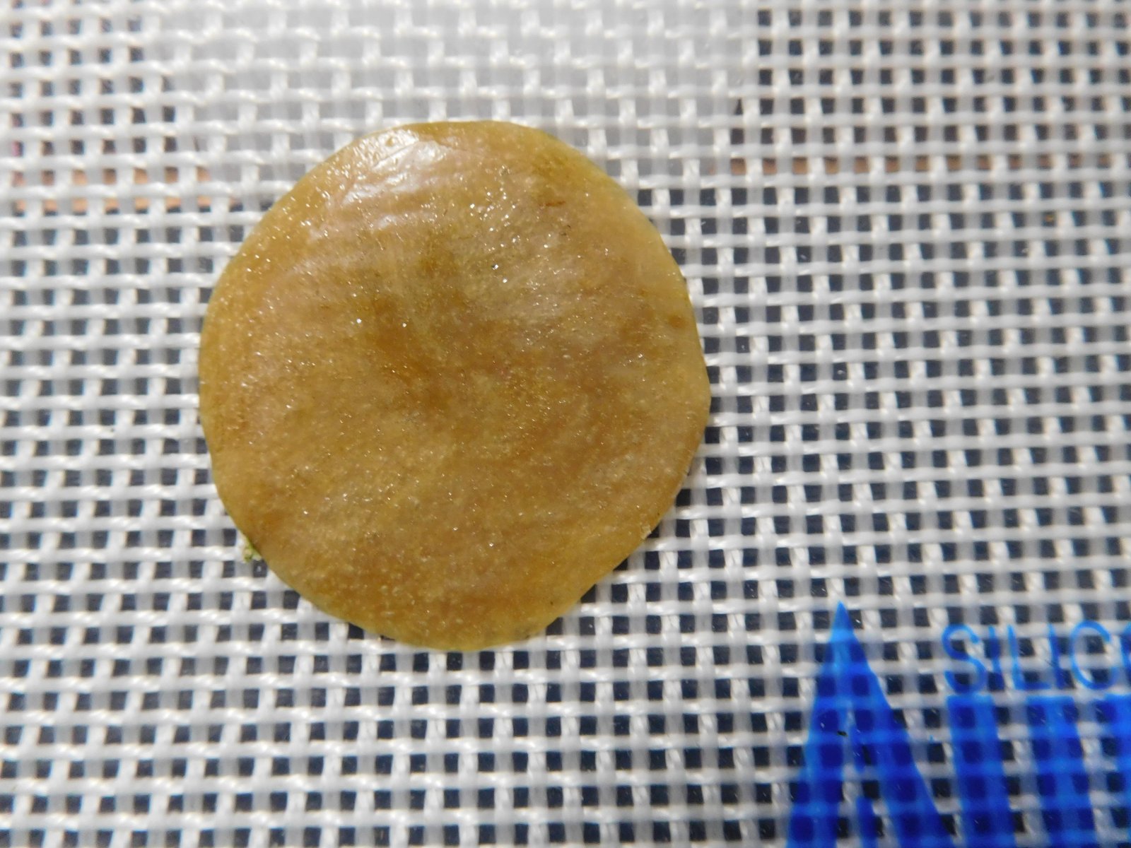 FDOG first press 14g bud.JPG