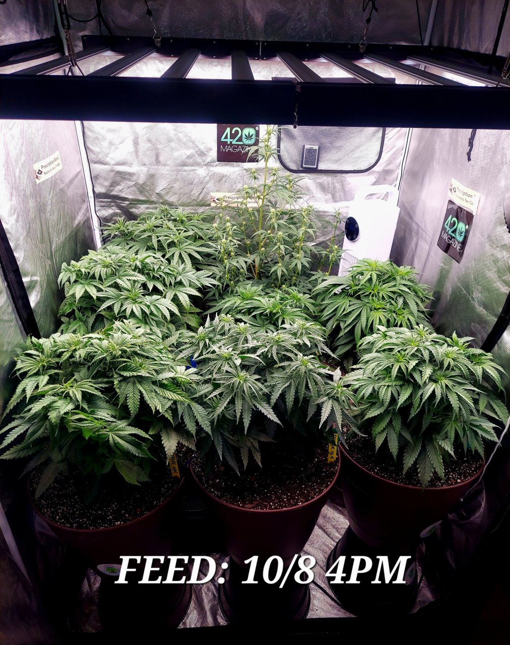 Feed-Cultiuana CT-720 Grow Journals