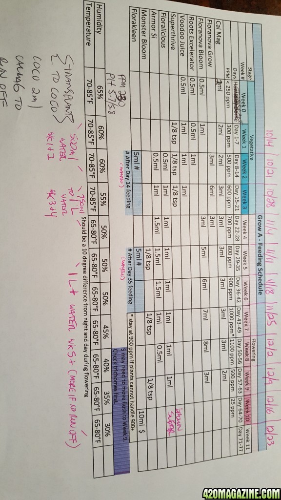 Feeding Schedule for Grow1