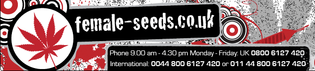 Female seeds UK Logo