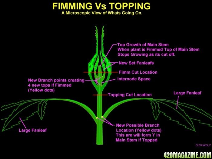 FIM'ing vs Topping.jpeg