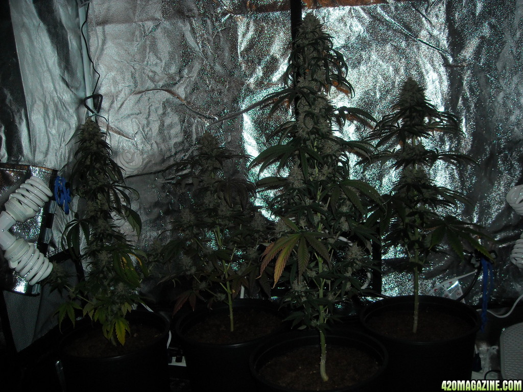 Final group shot of ladies in grow box.