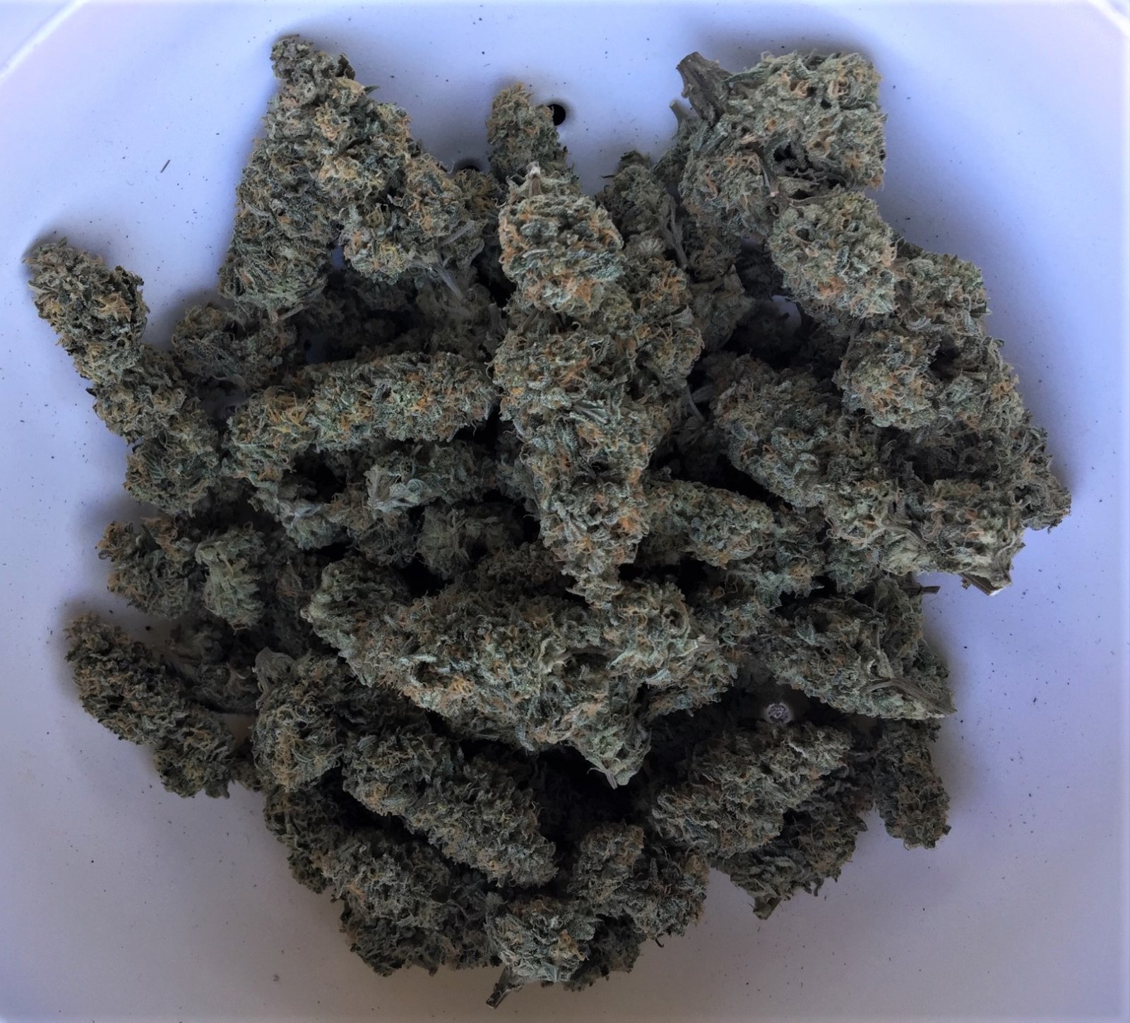 Final trimmed primo buds 2 ounces CJ 1 and CJ 2.jpg