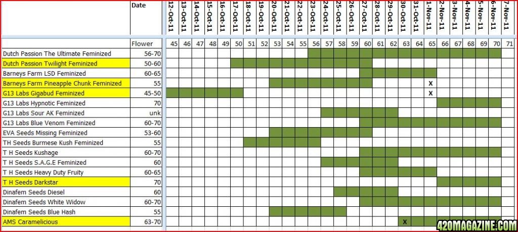 Finish_timeline