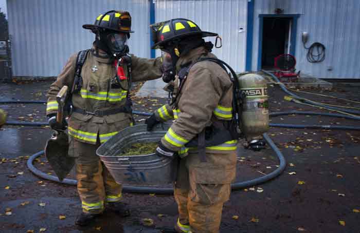 Firemen Saving Cannabis - Chris Pietsch