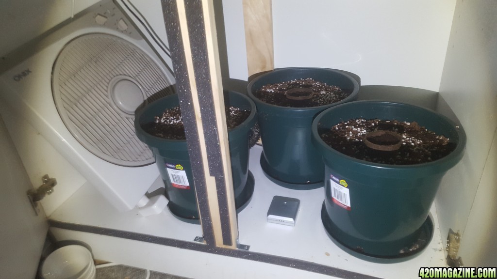 First Coco Grow Setup 1