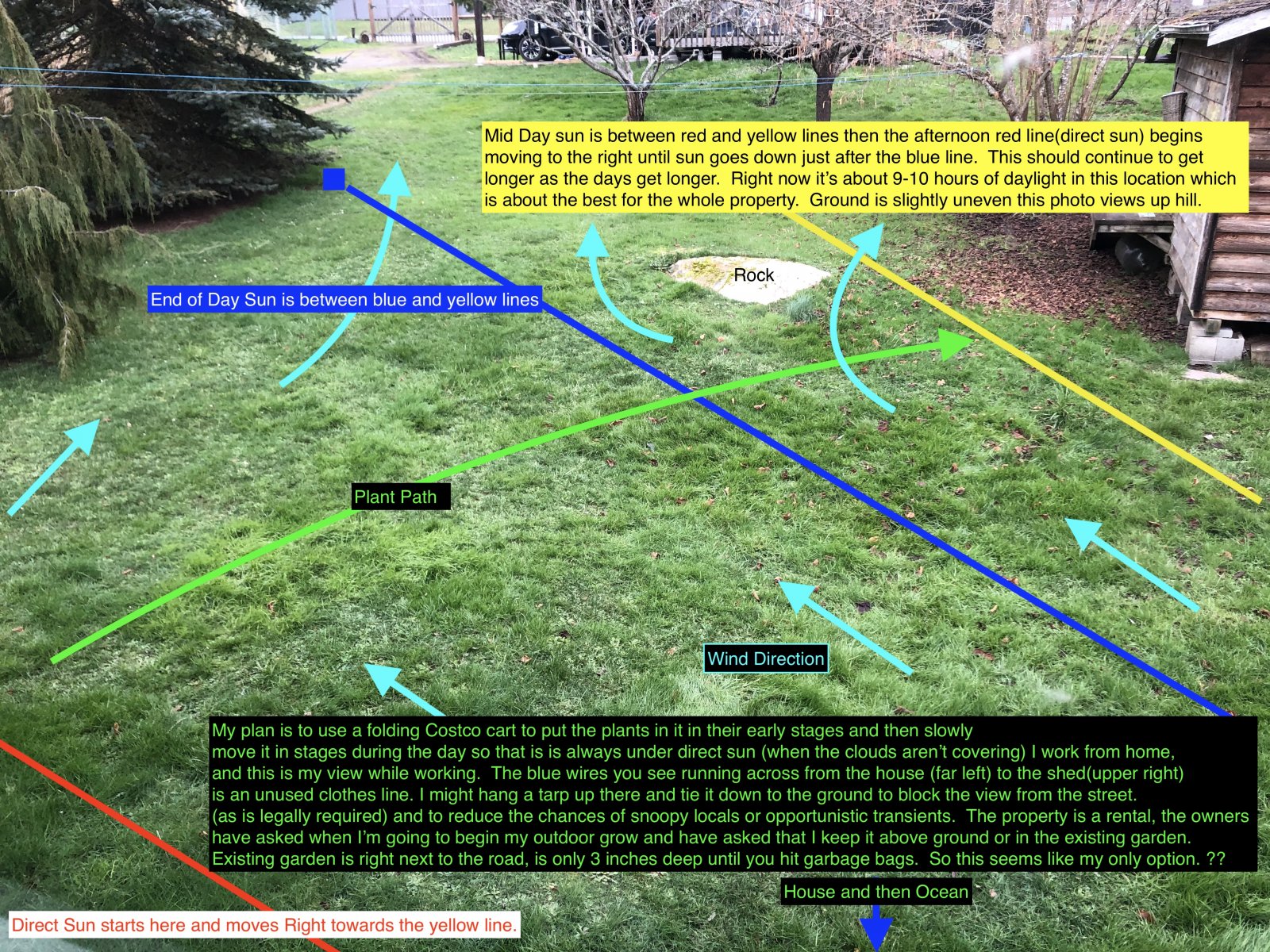 First Grow Planning alpha.jpg