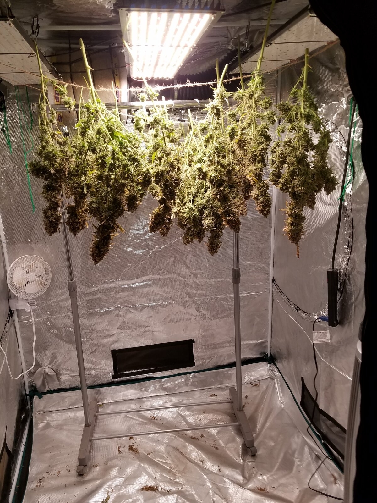 First Harvest 2.jpg