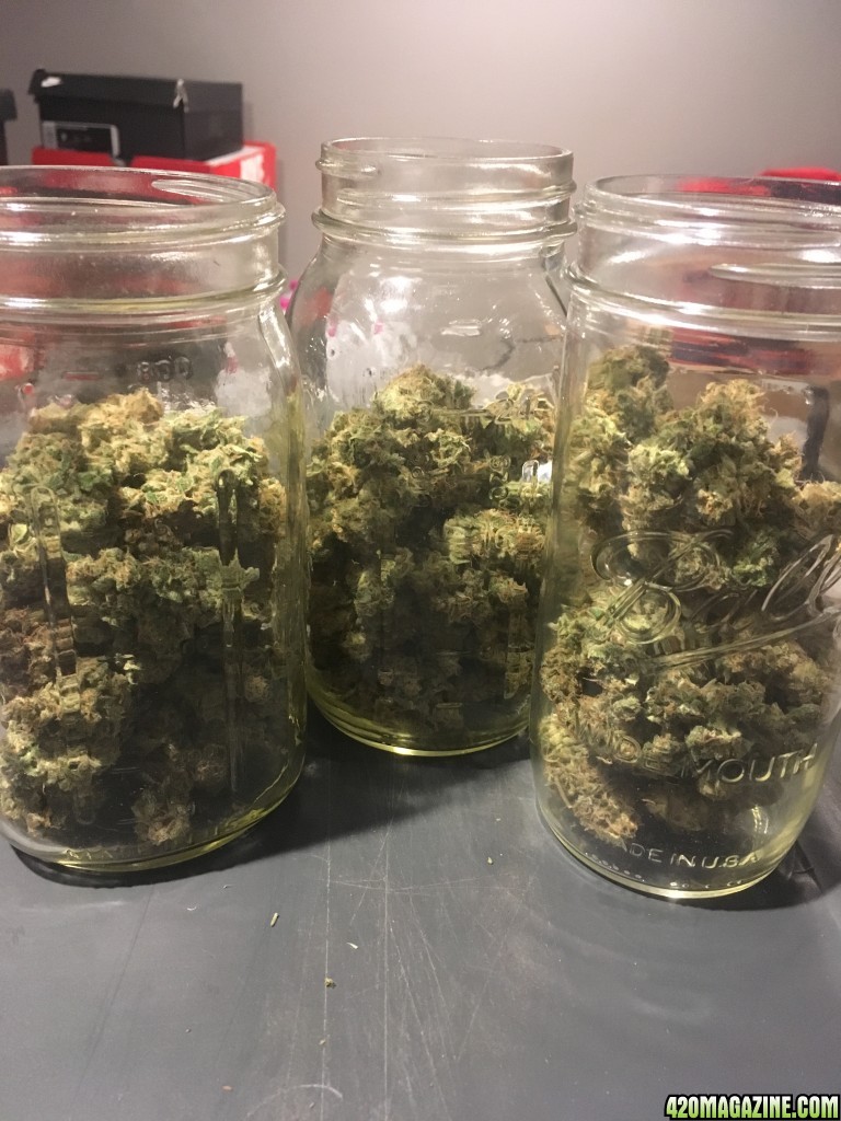 First harvest