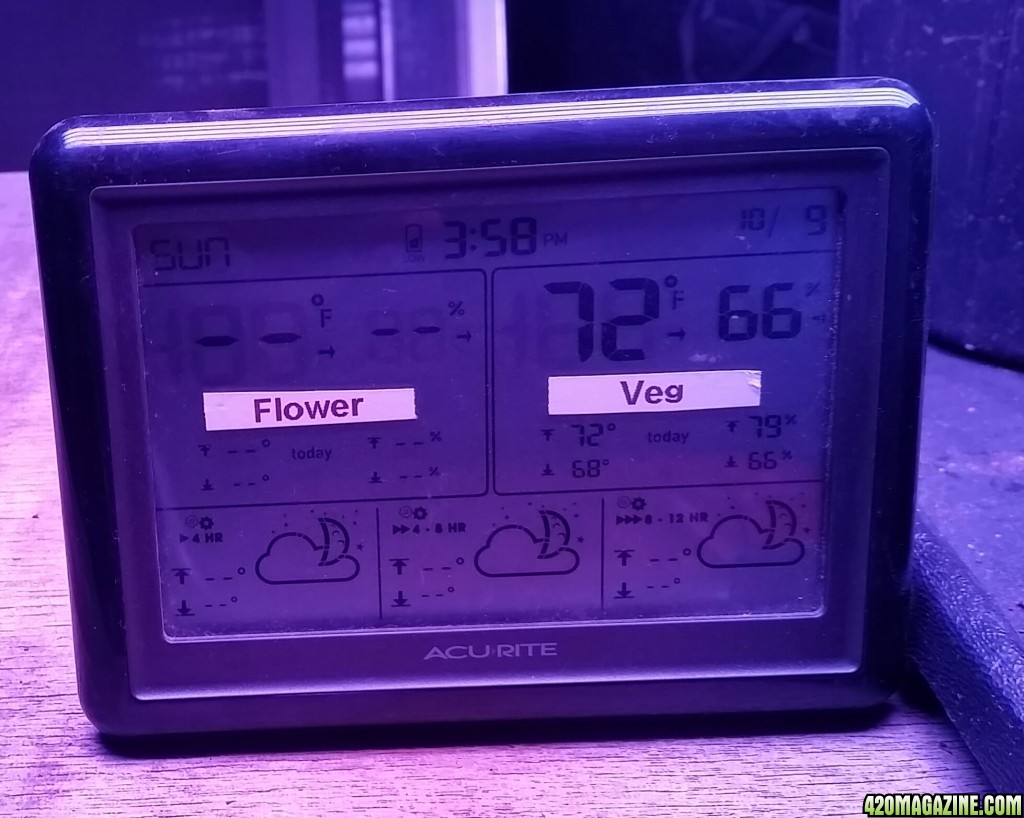 First look at temperatures