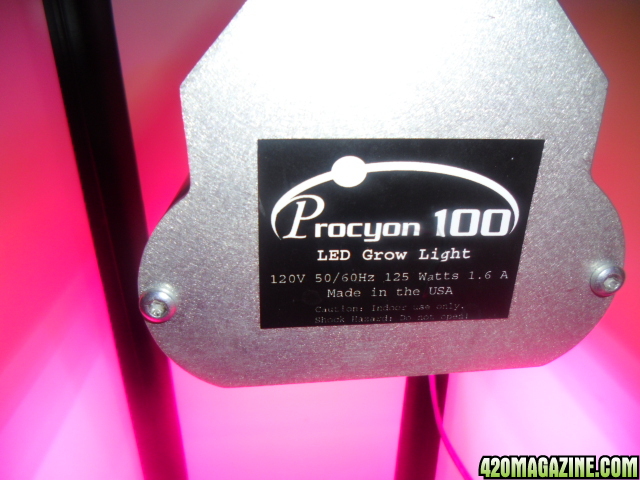 First Superlocker Procyon 100 Grow