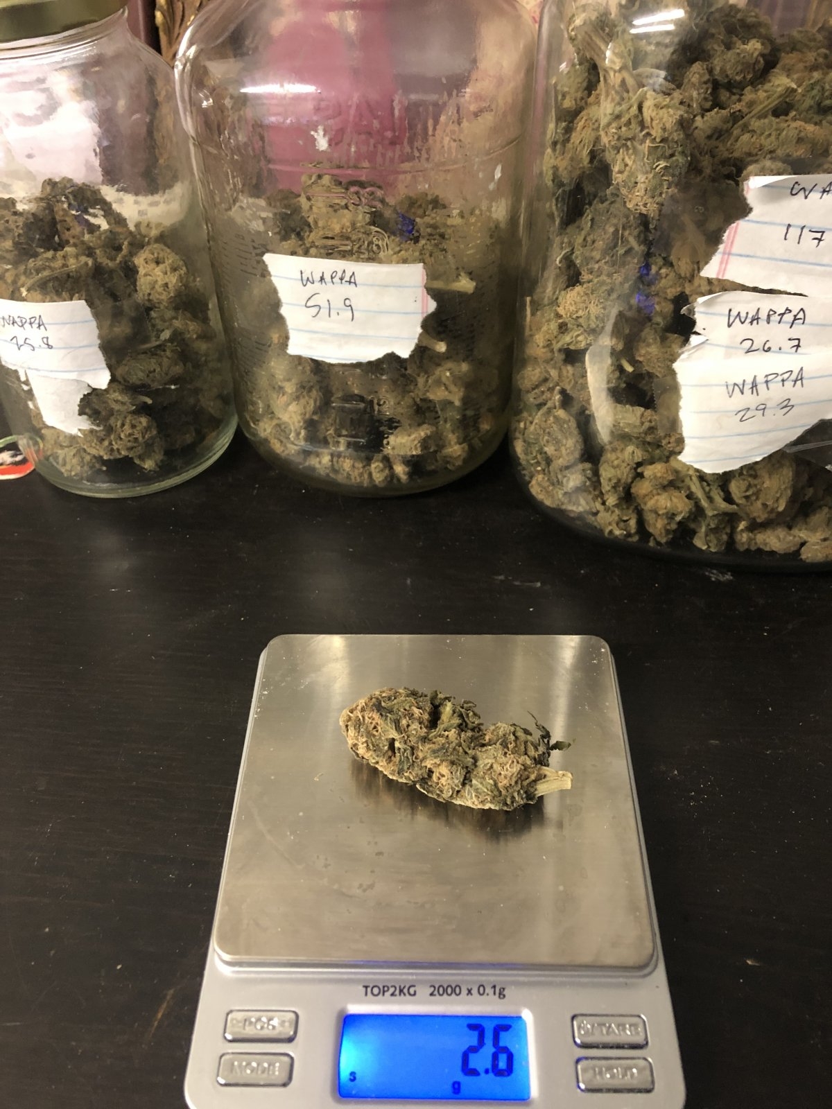 First Wappa Nug.jpg