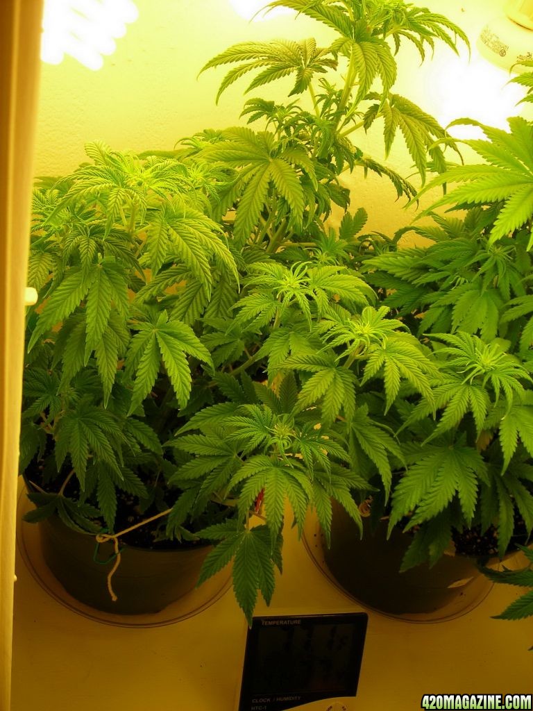 first_grow_109a_Both_girls