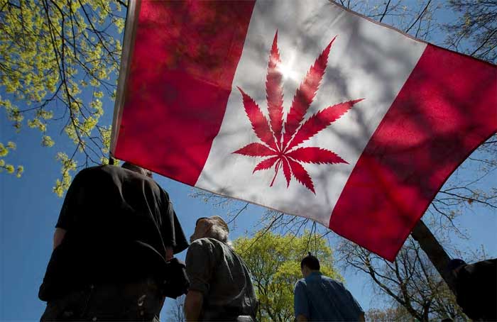 Flag Canadian Marijuana - Getty Images