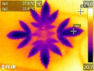 FLIR0160.jpg