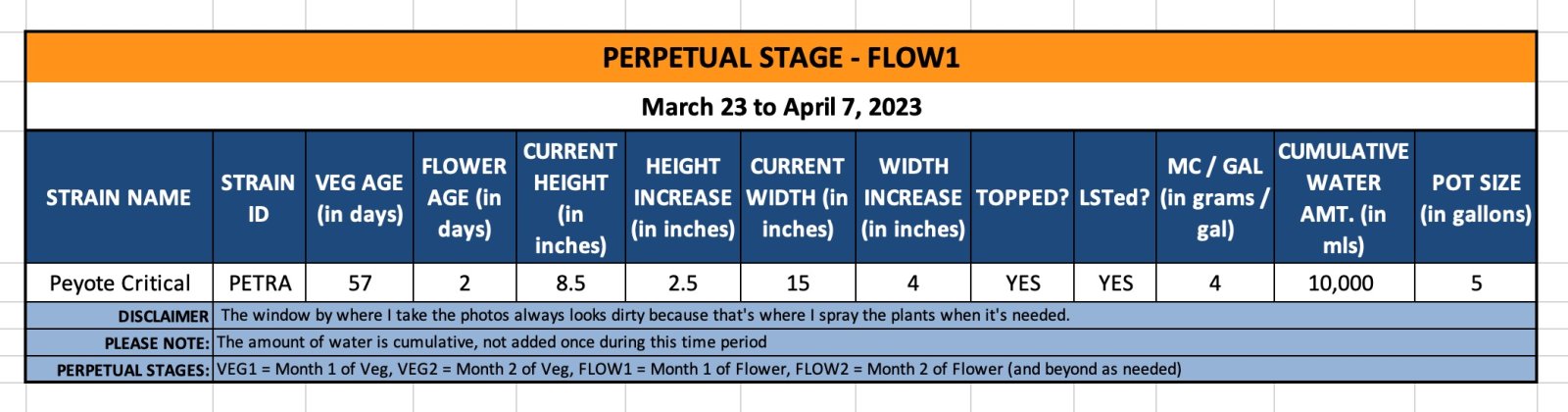 FLOW1 - Petra - March 23 to April 7, 2023.jpg