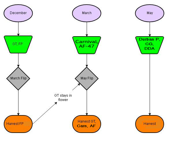 flowchart-2019-2020-rev1.jpg