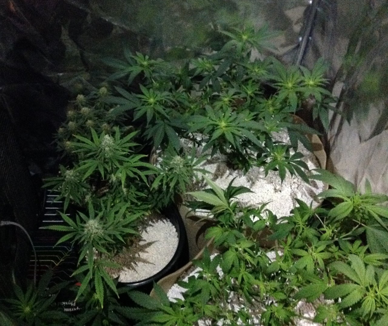 flower tent post trim2.jpg