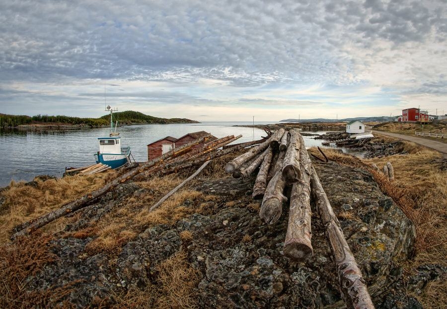 Fogo Island Morning_1280x1280.jpg