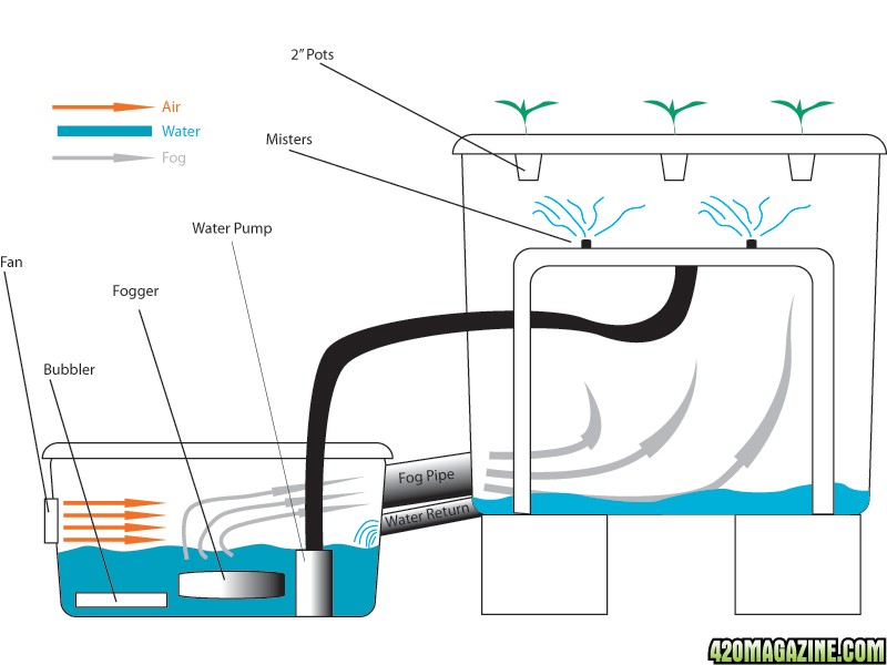 Fogponic experiment idea