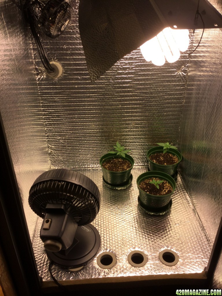 From a 2x2 Cabinet w/200 watt CFL to a 4x4 FusionHut w/900 watt Mars Hydro 