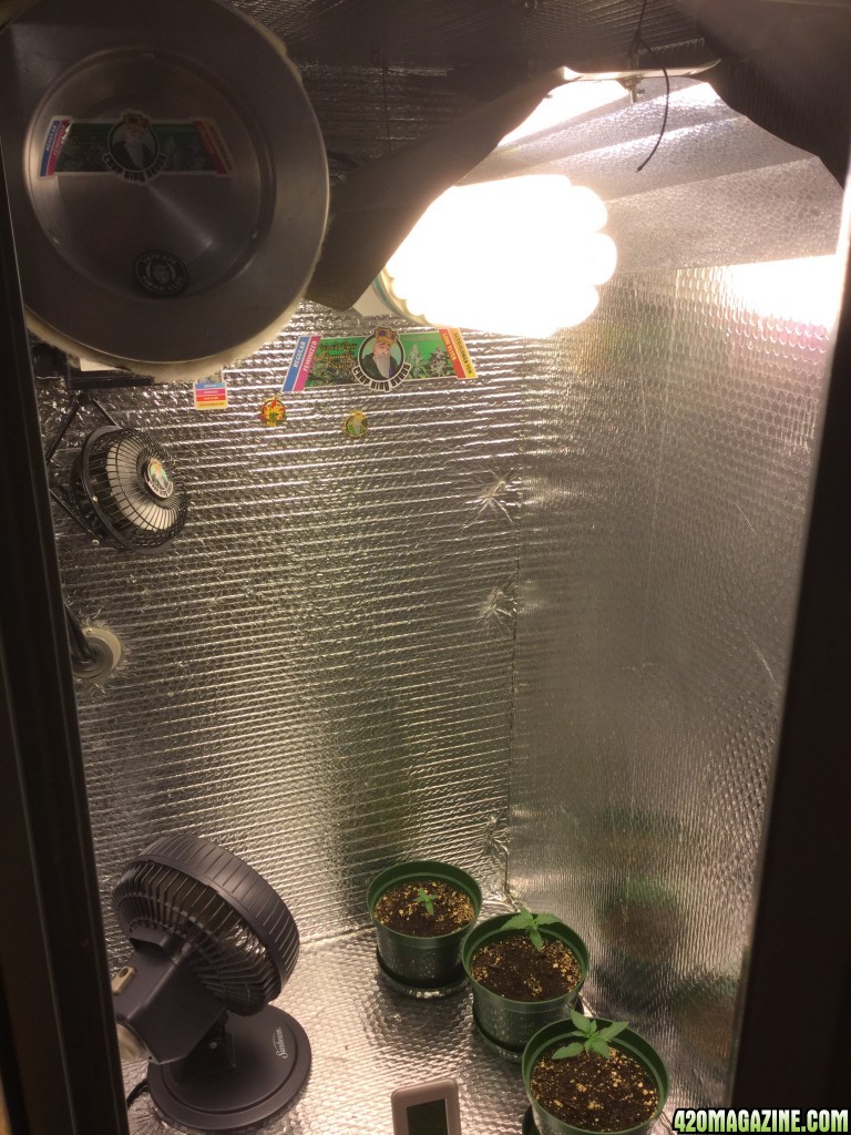 From a 2x2 Cabinet w/200 watt CFL to a 4x4 FusionHut w/900 watt Mars Hydro 