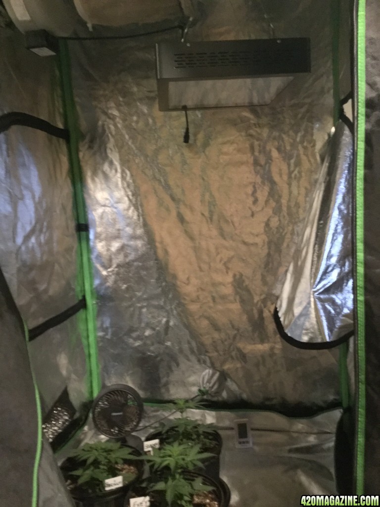 From a 2x2 Cabinet w/200 watt CFL to a 4x4 FusionHut w/900 watt Mars Hydro 