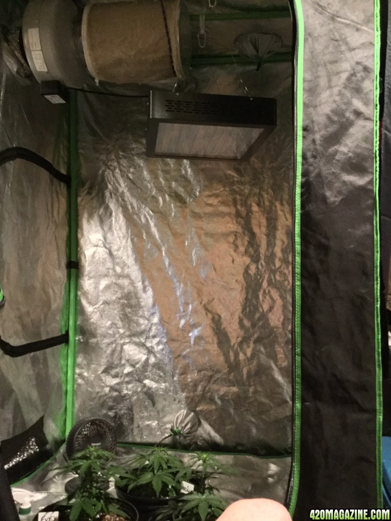 From A Cabinet w/200 Watt CFL To A 4x4 Fusion Hut w/900 Watt Mars Hydro II 