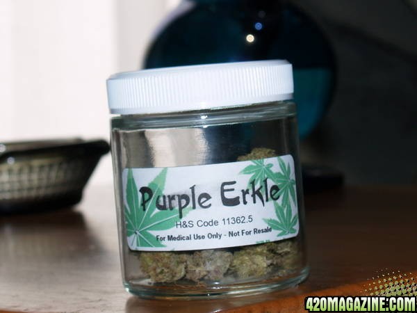 Front View Jar Purkle