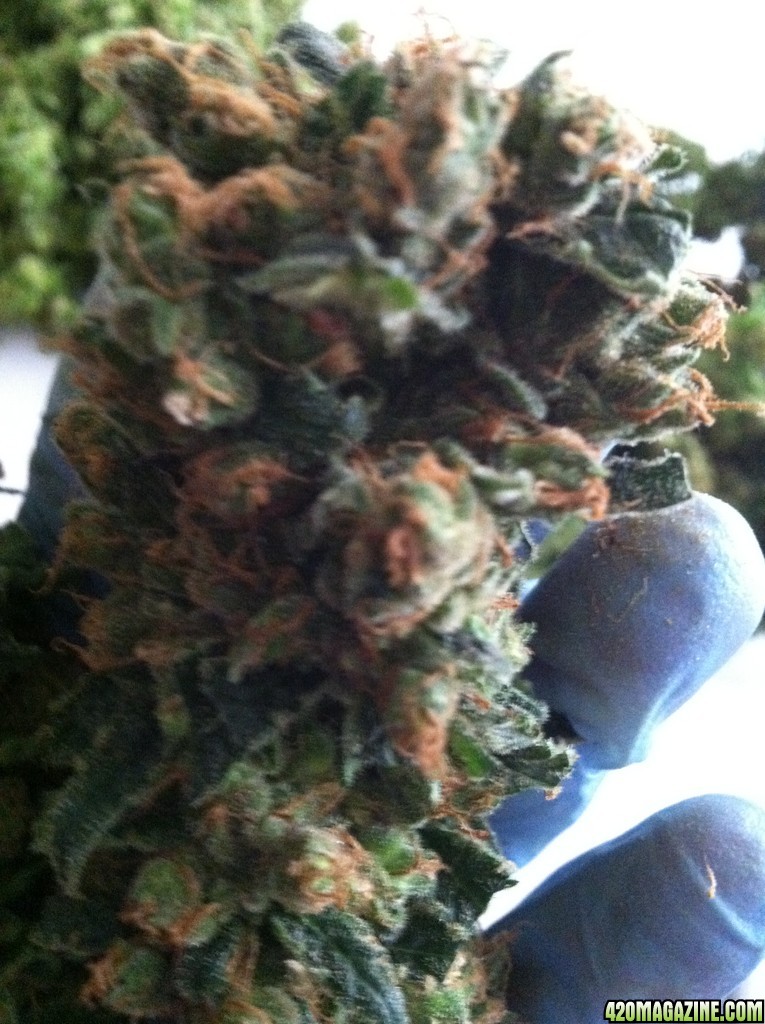 Fruit Spirit Nug