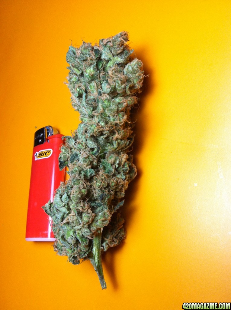 Fruit Spirit Nug