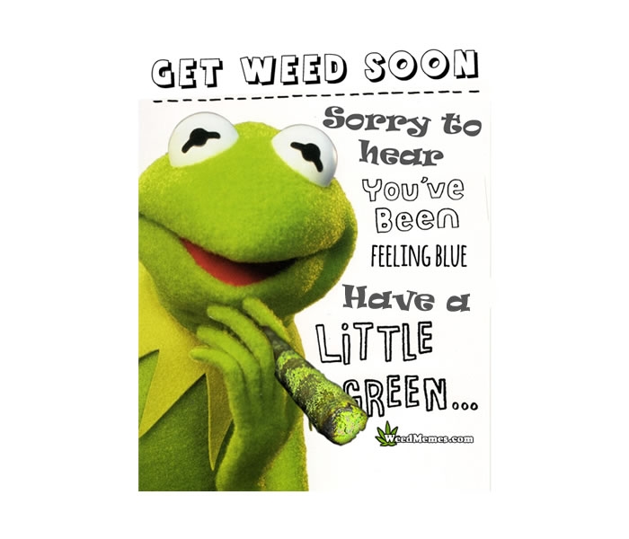 Fuploads%2F2018%2F04%2Fget-weed-soon-stoner-kermit.jpg