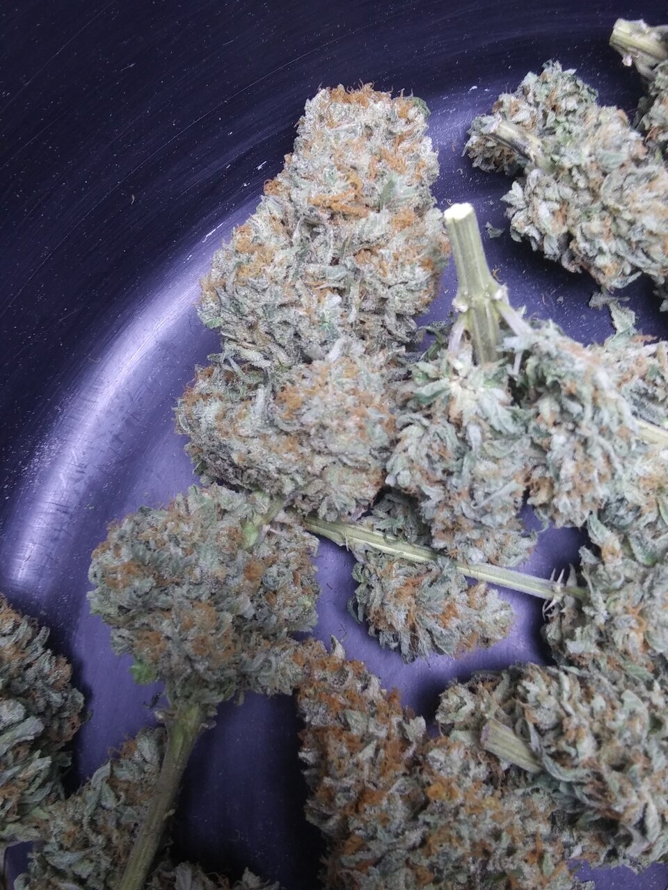 G13 Haze