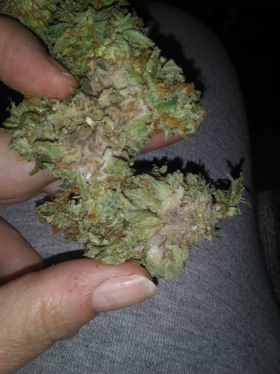 G13 Haze