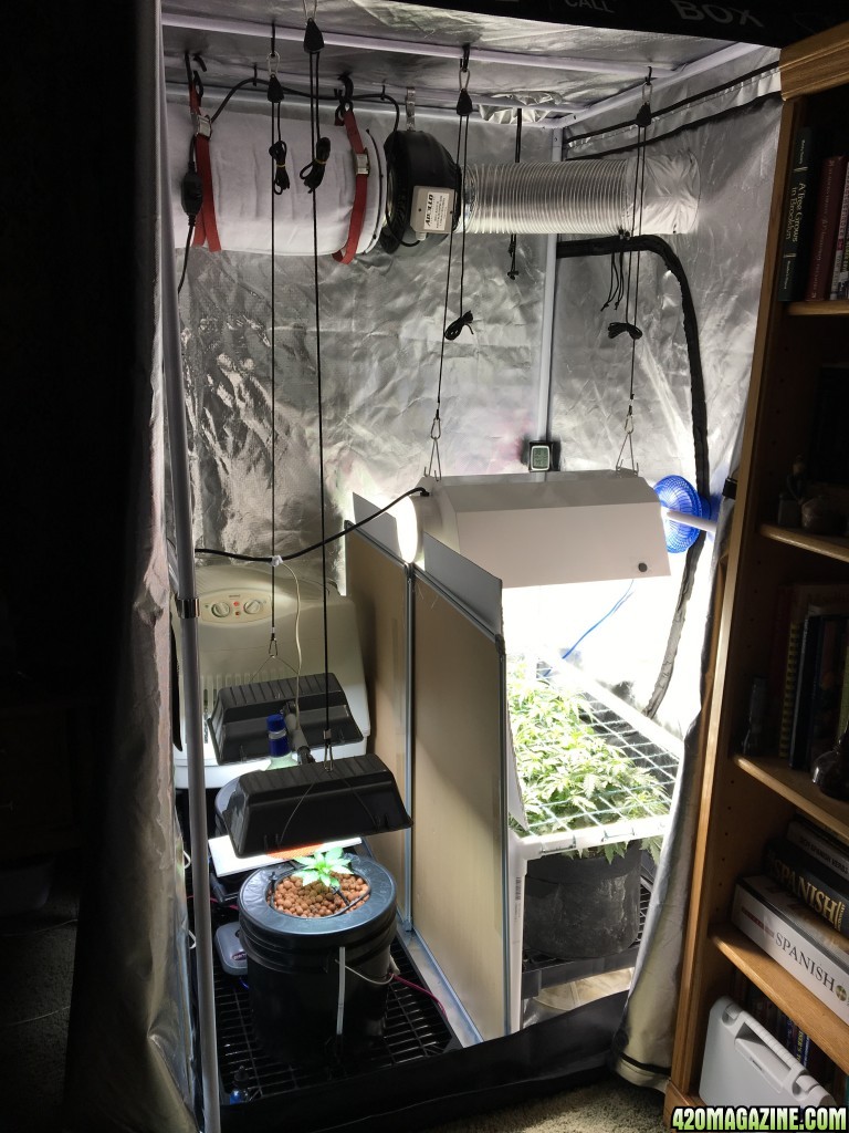 Galaxy Grow Tent