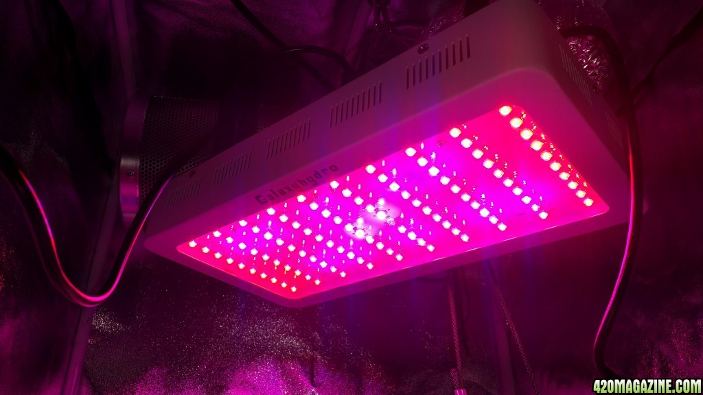 Galaxy Hydro 300W LED Light