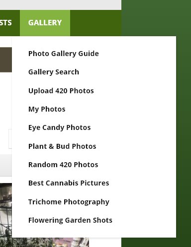 Gallery Search Tab Added to Gallery Tab.jpg