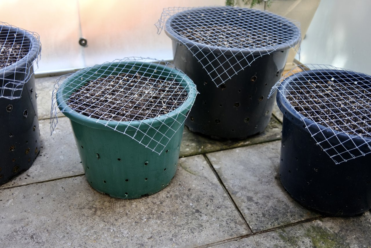 Galvanised welded steel mesh to deter birds from pecking out the amendments