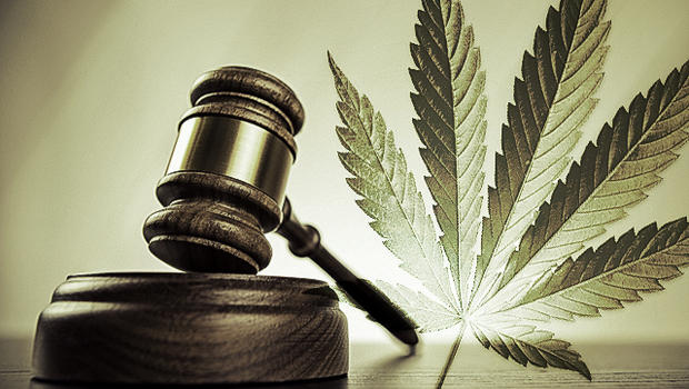 gavel and pot leaf