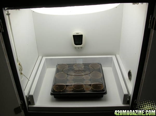 Germination Box