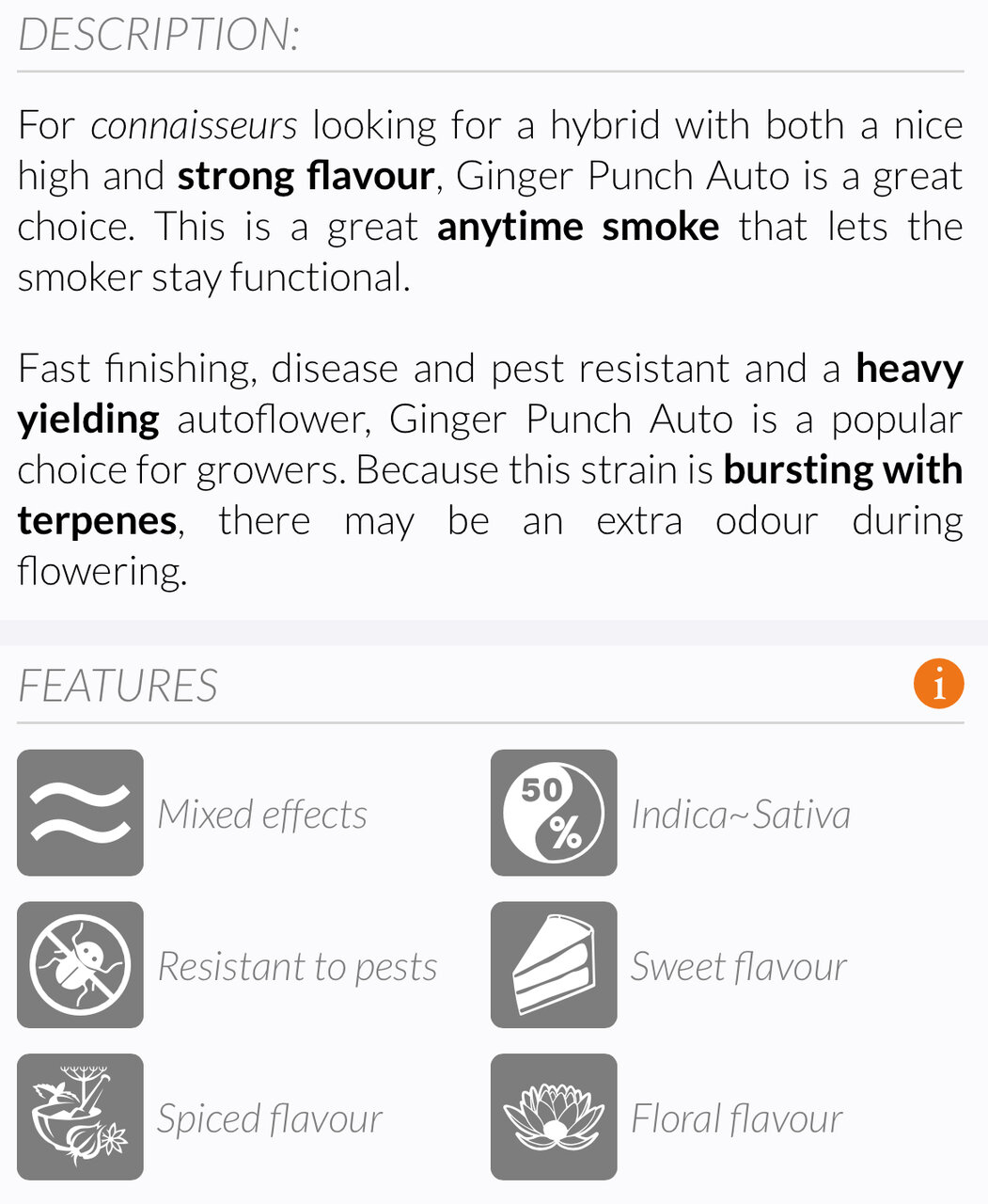 Ginger Punch Auto