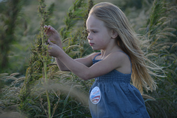 Girl 1st Hemp Harvest