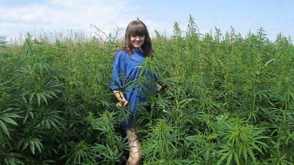 Girl By A Hemp Field