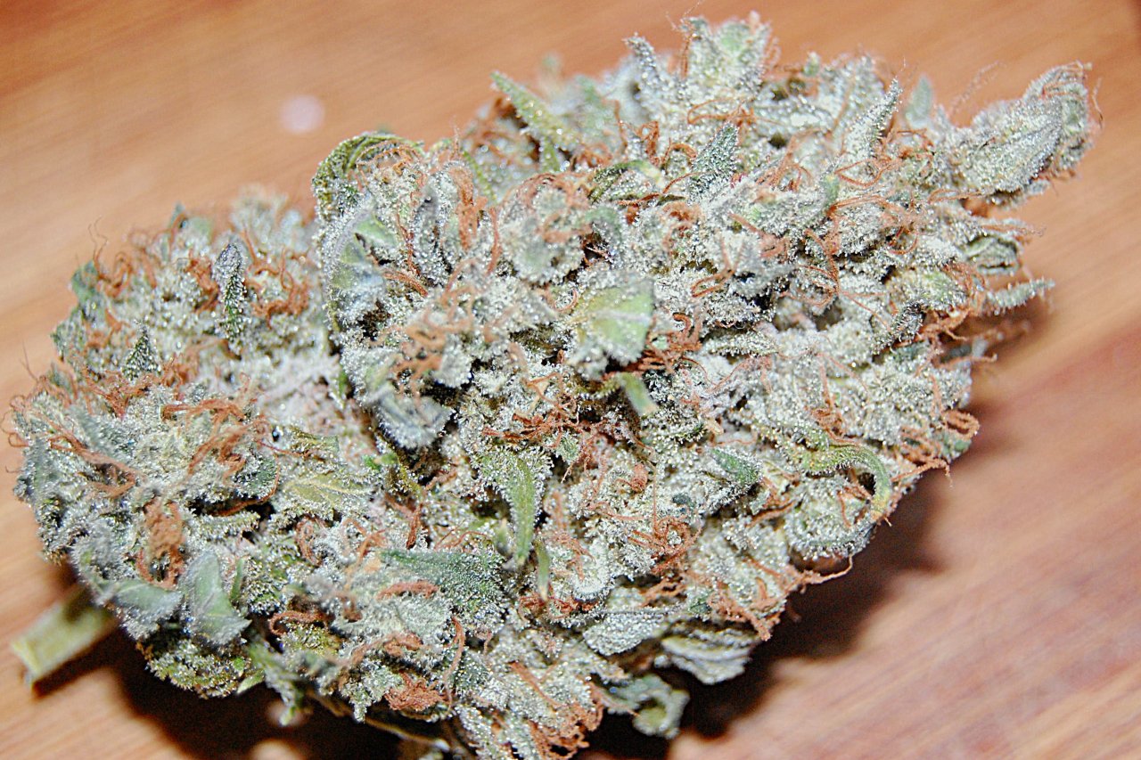 girl-scout-cookies-bud-dry.JPG